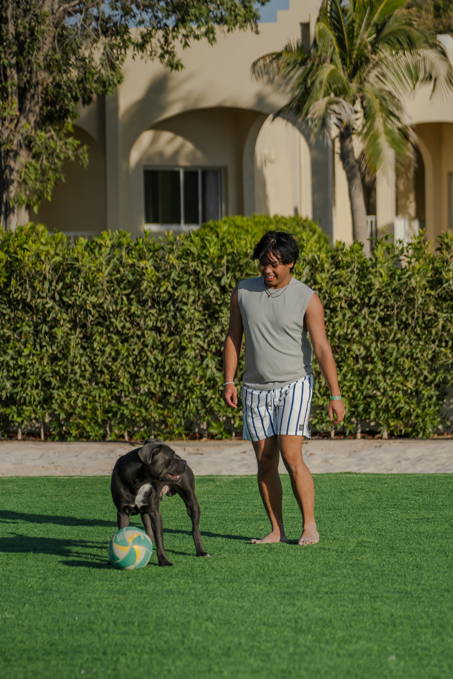 A dog enjoying a beach day at the resort